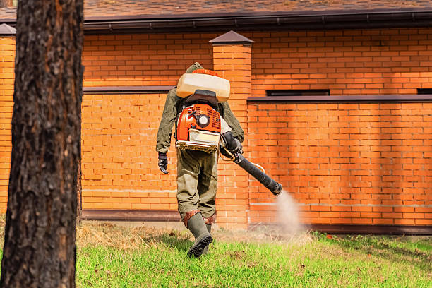 Trusted Bed Bug Control service in Tiptonville, TN - Nex Pest Control